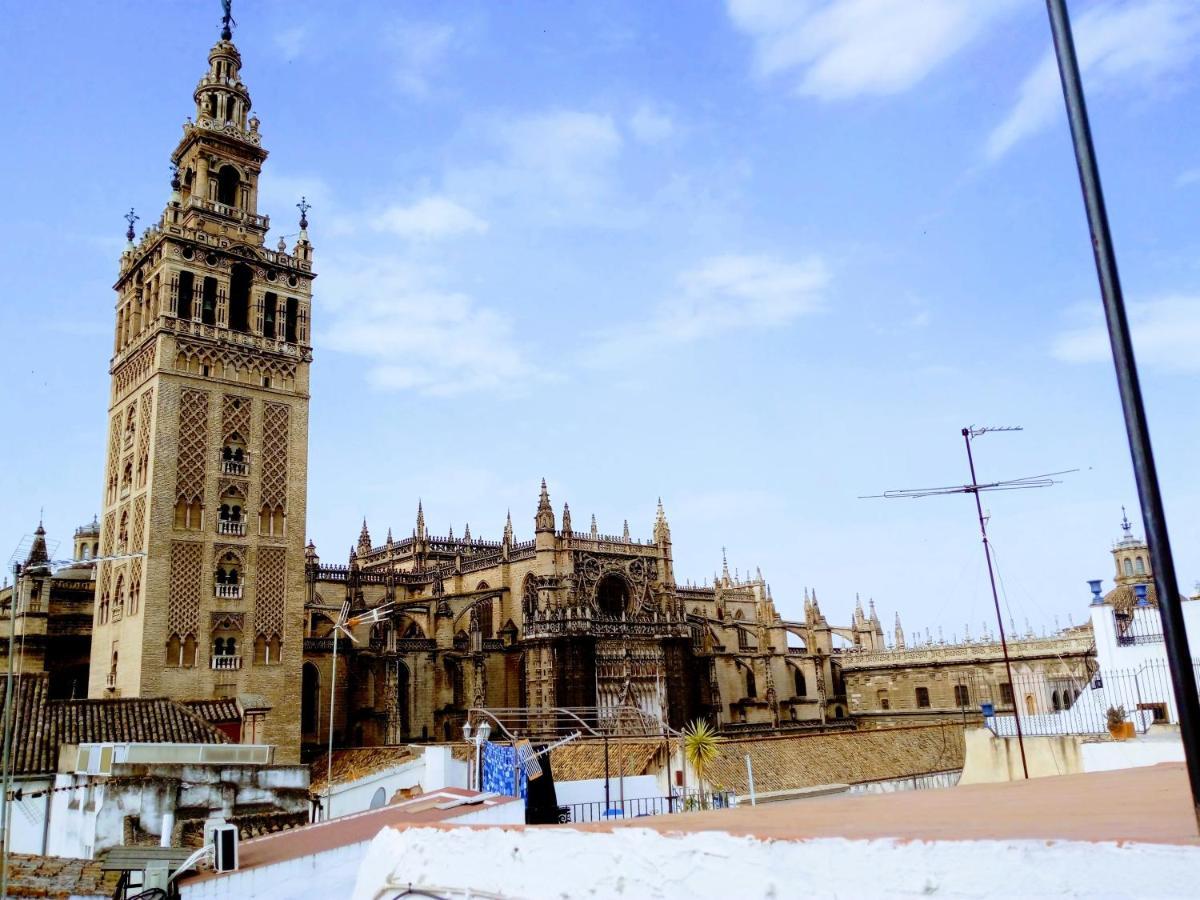 ¡en Frente De La Giralda-catedral! Apartamento *