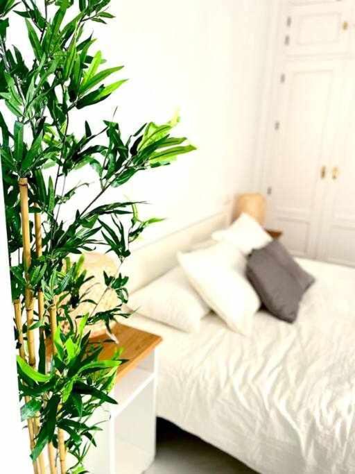 Apartment Tranquilo En Barrio Bohemio