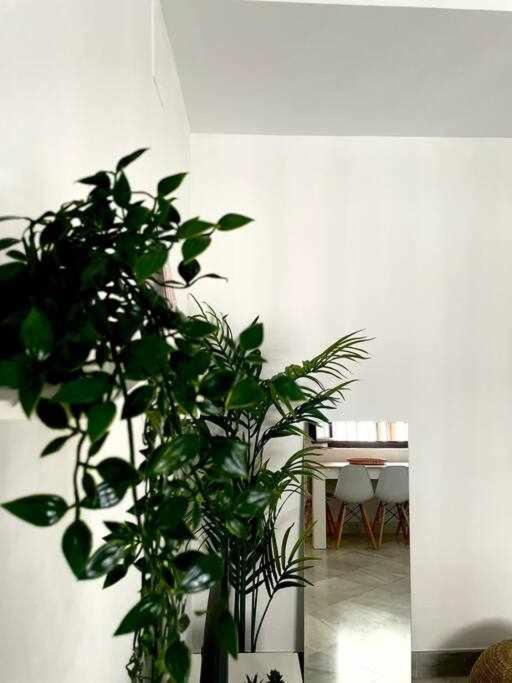 Apartment Tranquilo En Barrio Bohemio *