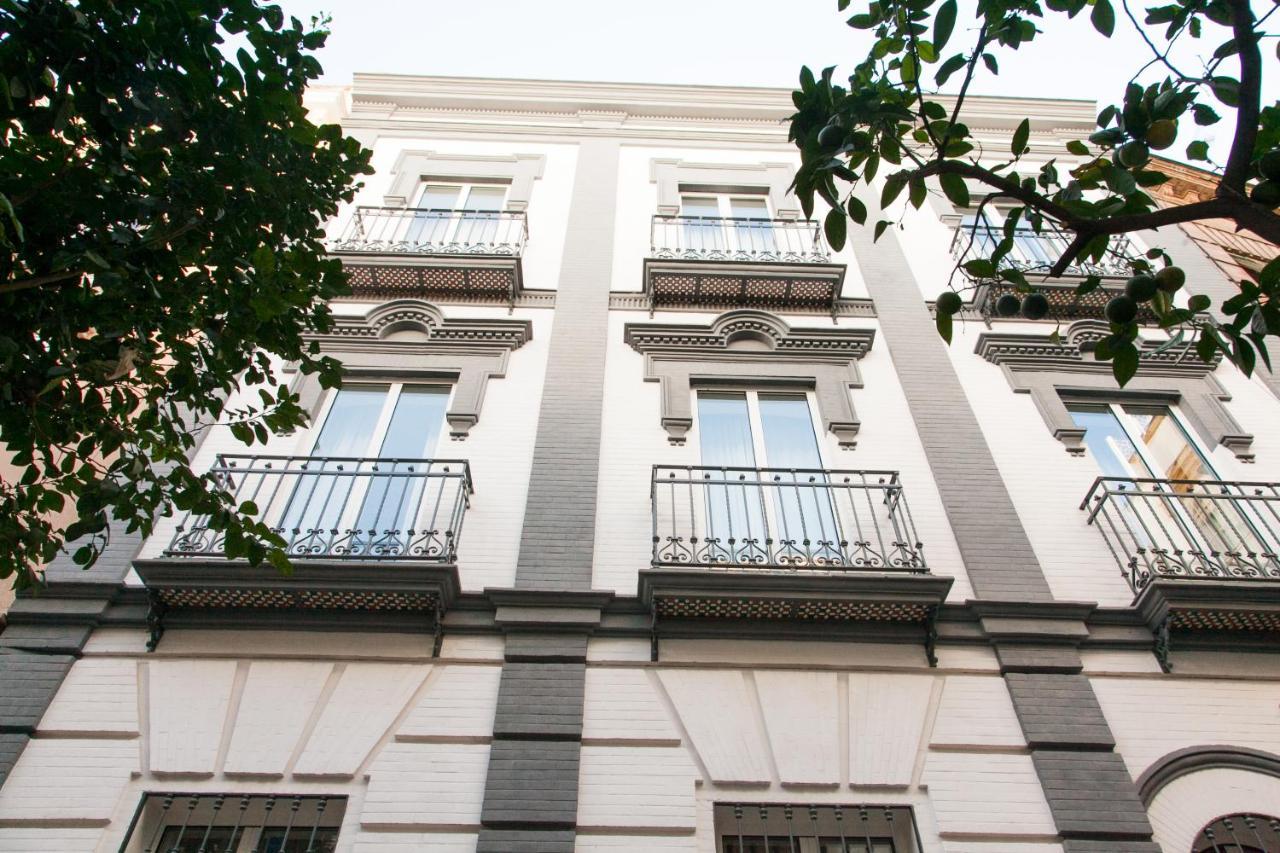 Apartment Isg Cedaceros 12
