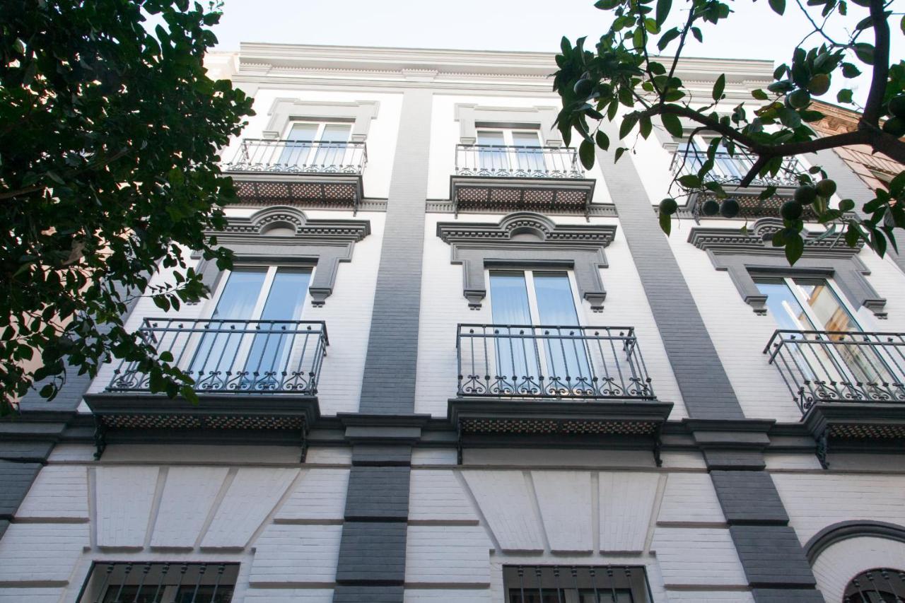 Isg Cedaceros 12 * Seville