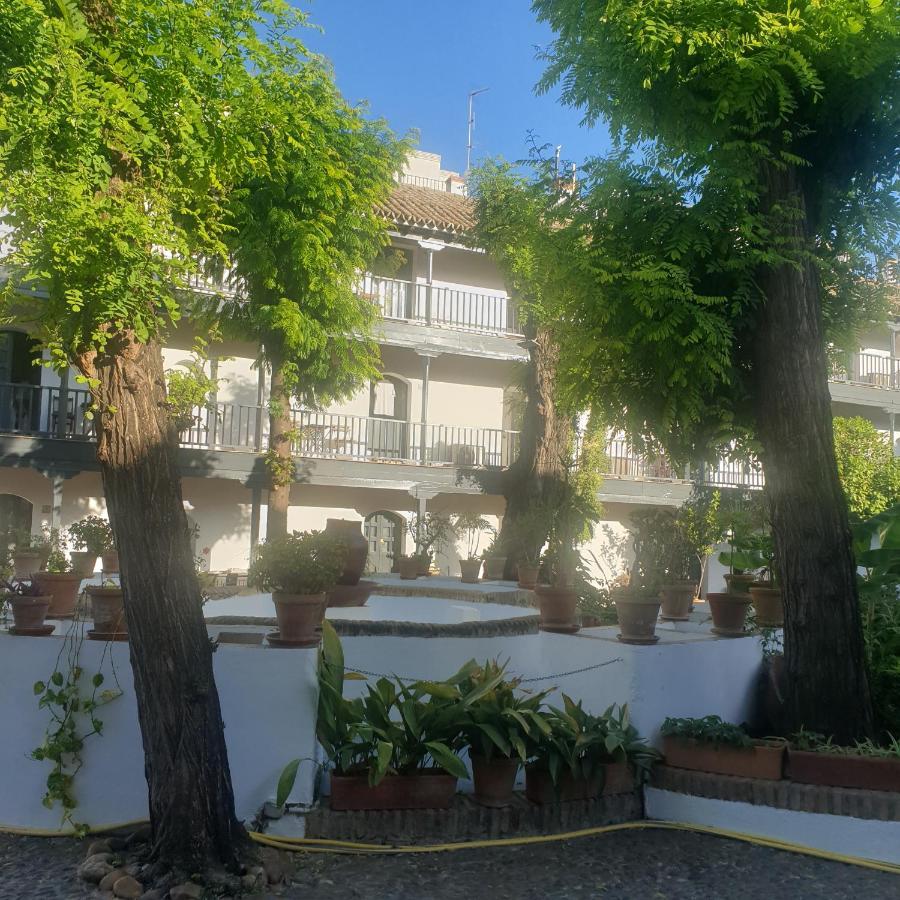 Rentalsevilla Un Oasis En El Centro De Apartamento