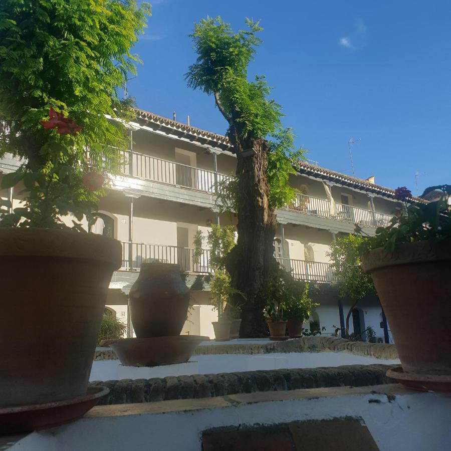 Rentalsevilla Un Oasis En El Centro De Apartamento *