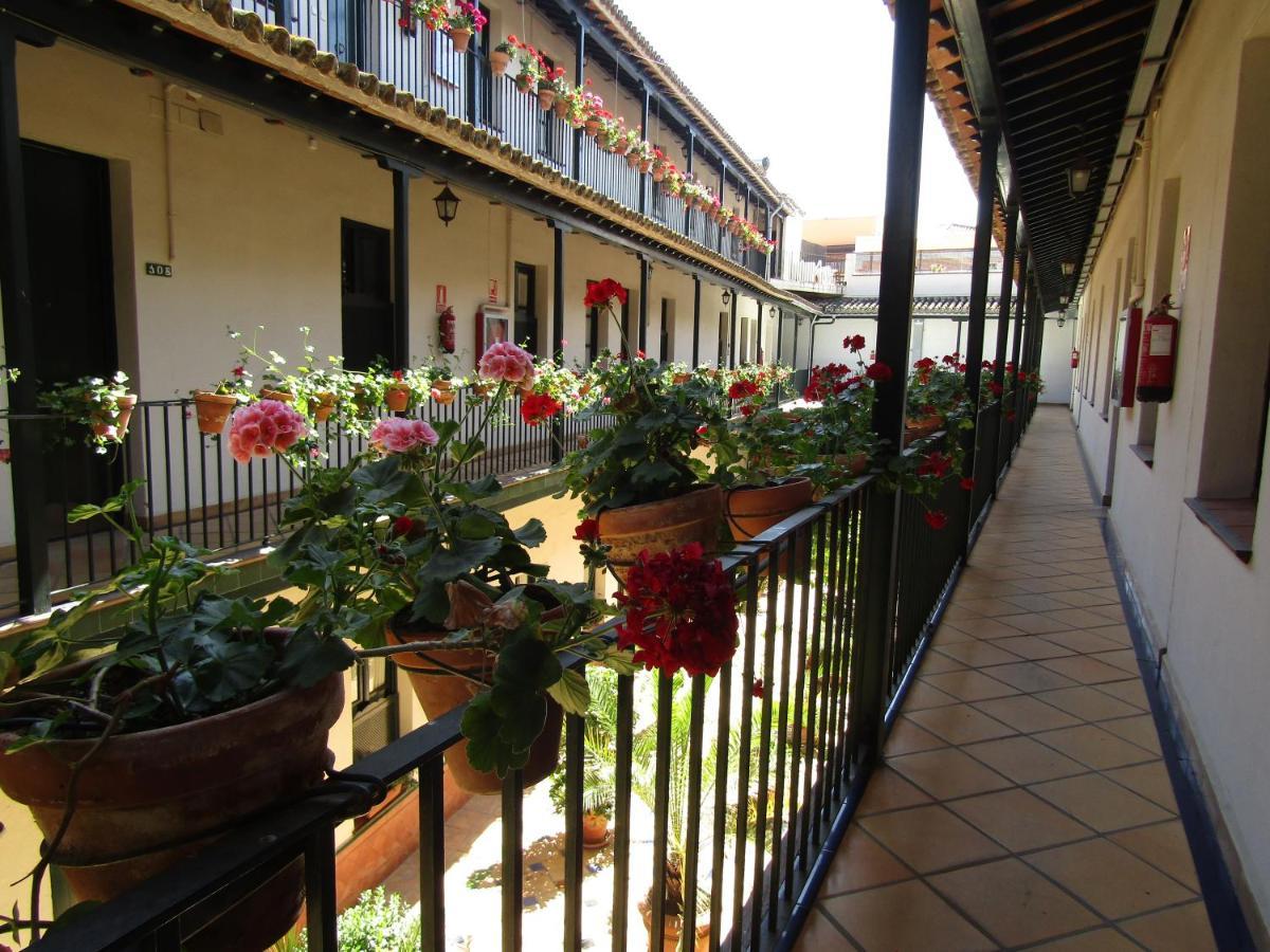 Apartamento Alameda Apartment Seville