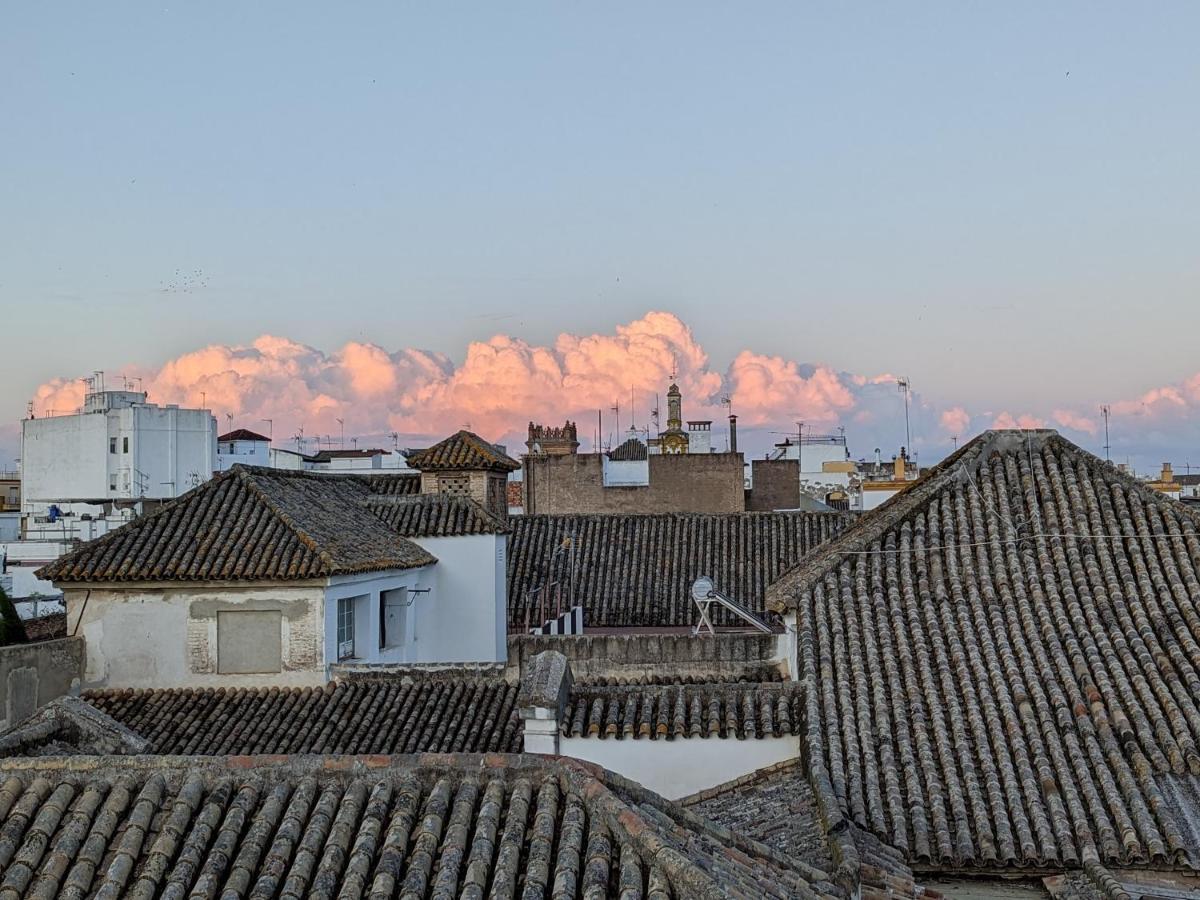 Luz De Free Parking Apartment