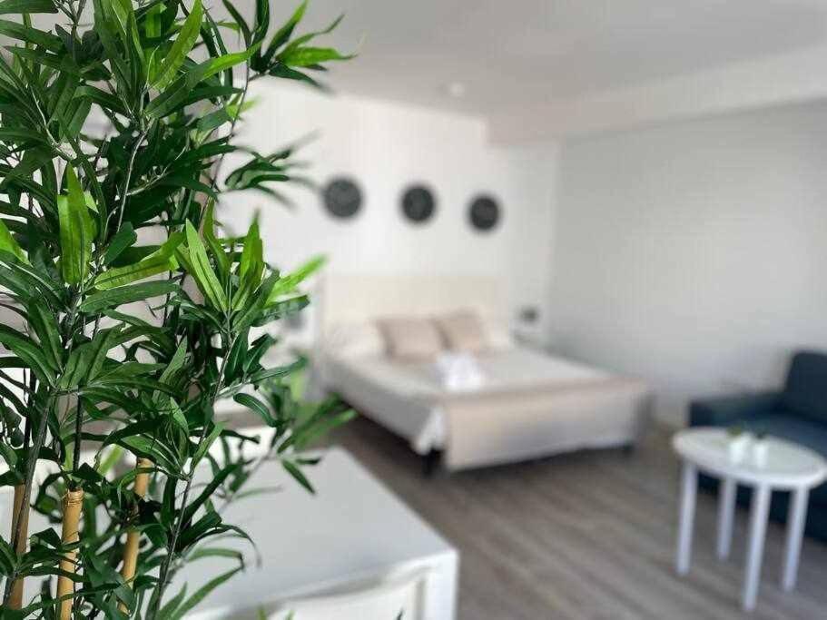 Acogedor Y Agradable Estudio Muy Centrico - Arenal