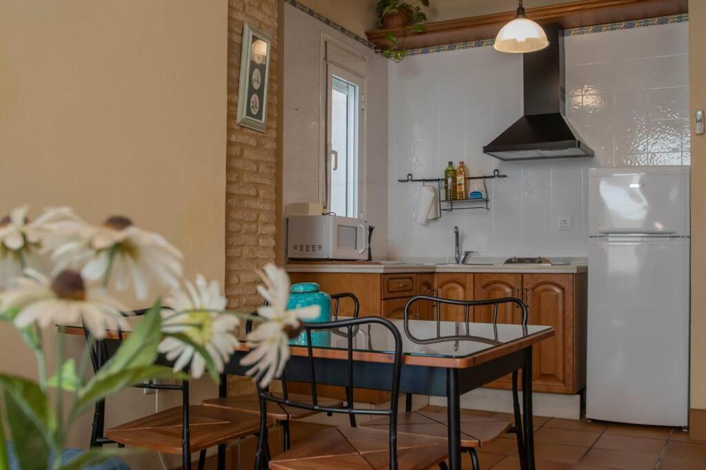 Apartment Precioso Apart. Maravillosa Localizacion **wifi-ac** Seville