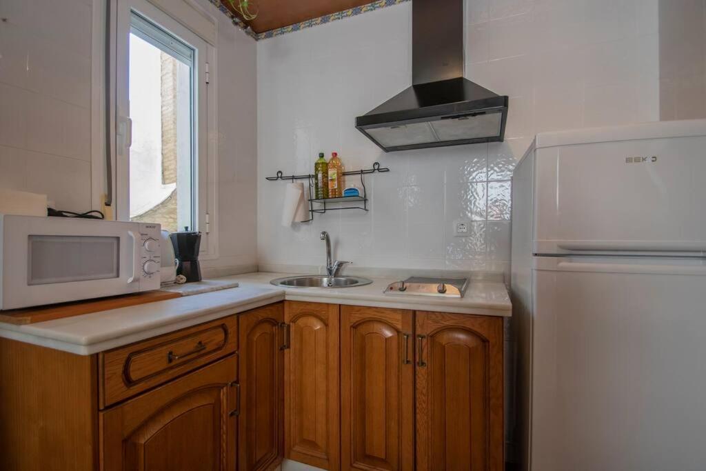 Apartment Precioso Apart. Maravillosa Localizacion **wifi-ac** Seville