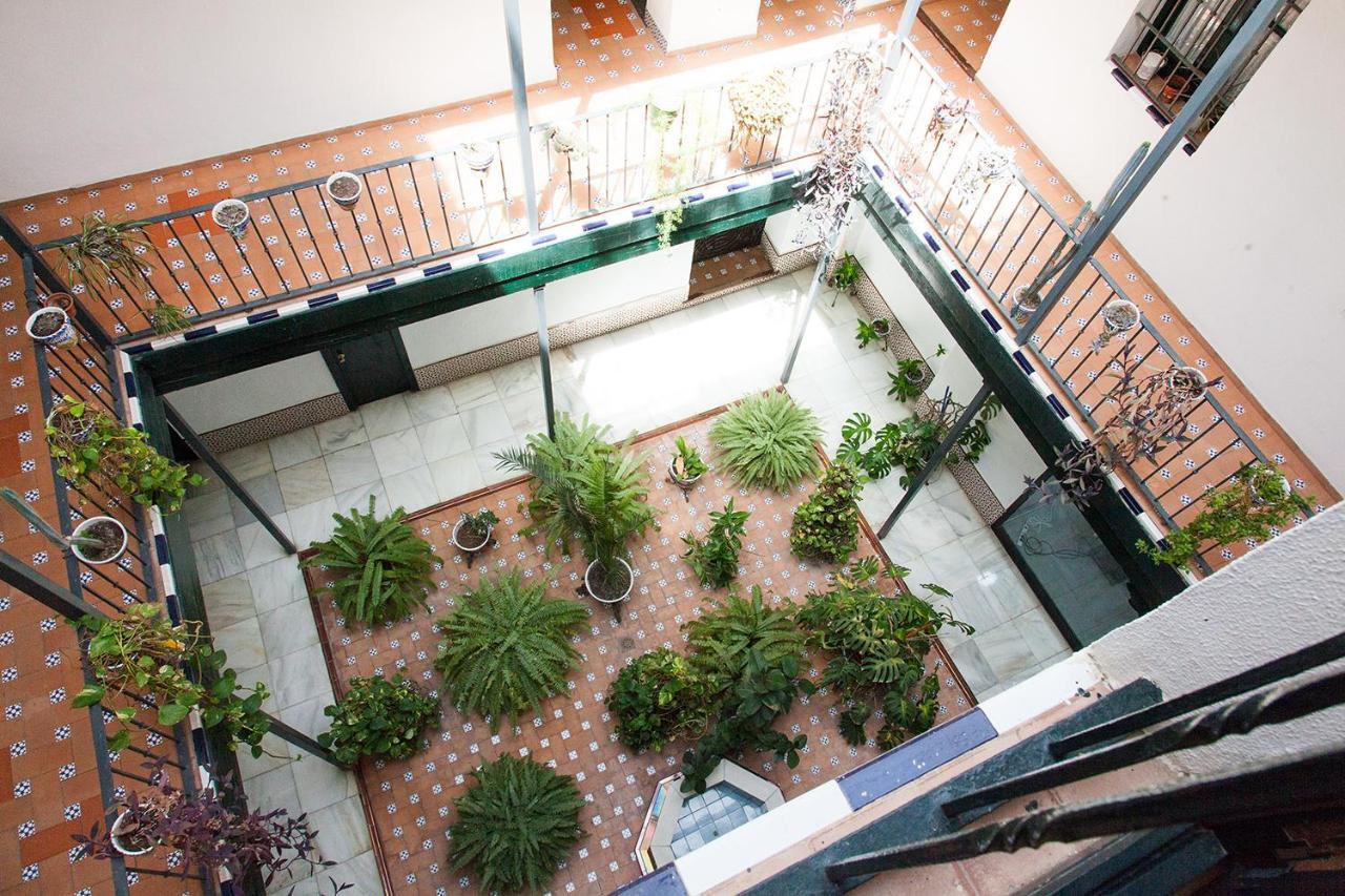 Apartamento Gotoseville Sierpes