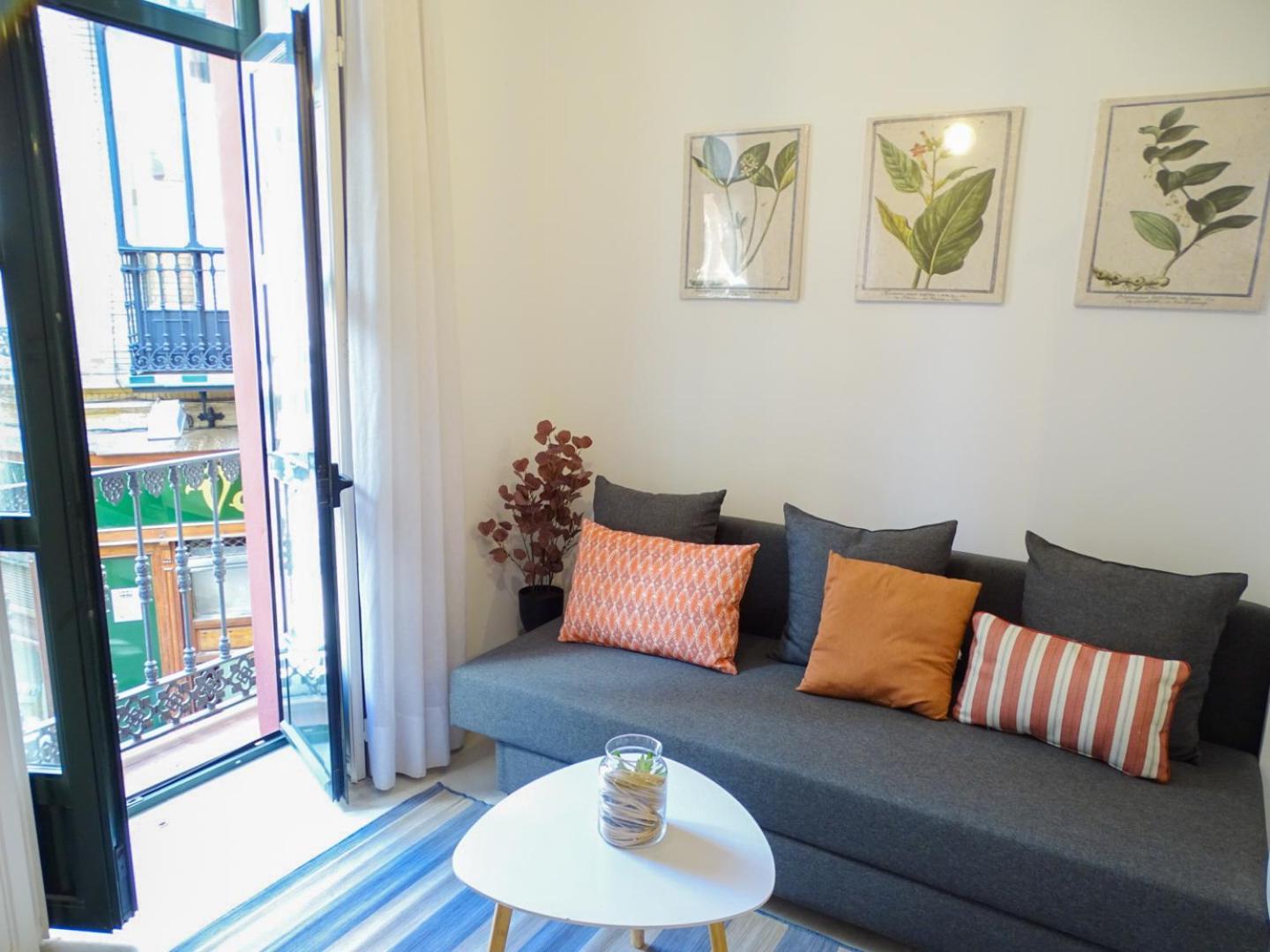 Moderno Estudio Al Lado De La Catedral Apartment *