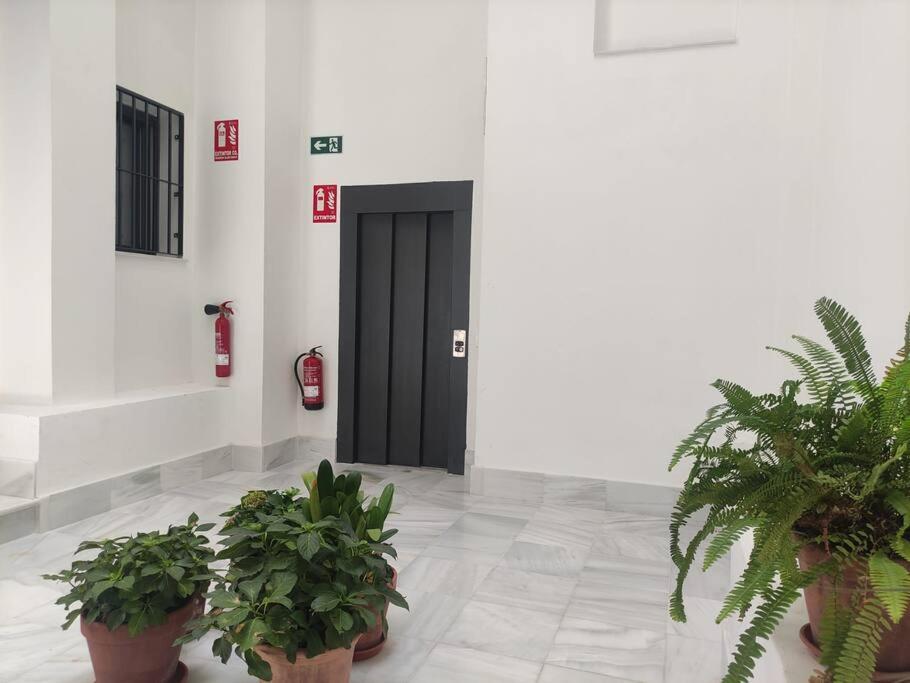 Apartment Calm & Design *