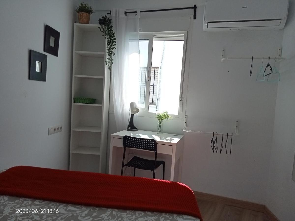 Luminosa Seville