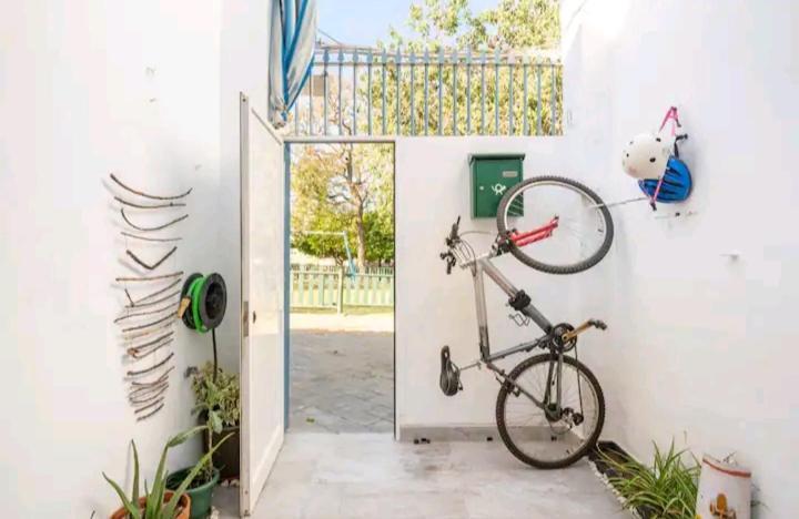 Ikigai House Seville