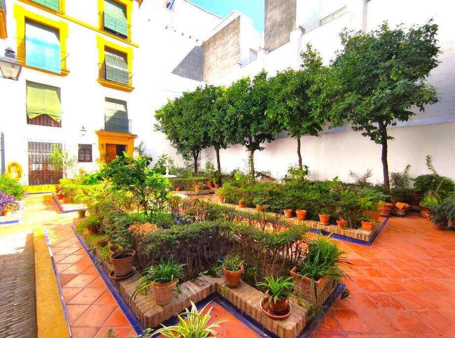 Plaza Cristo De Burgos Apartamento