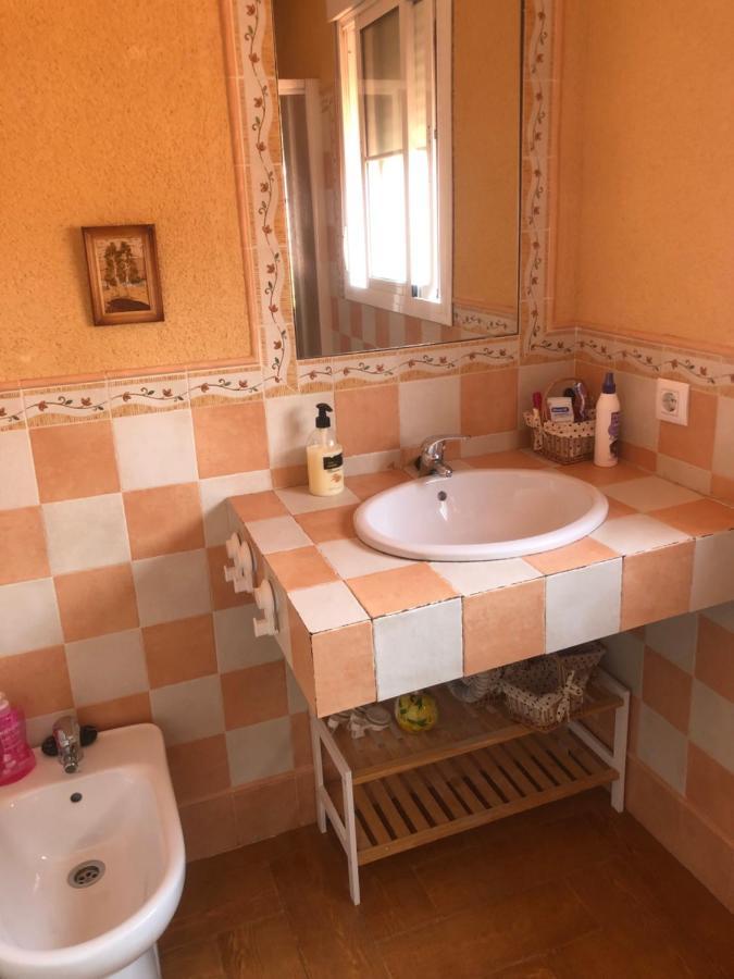 Homestay Familia Anfitriona Acoge Terraza Seville