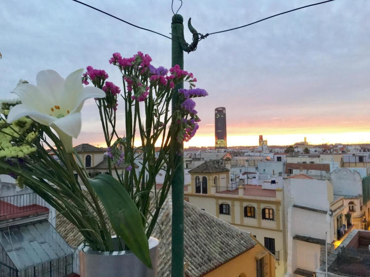 Apartamento Sweet In Downtow In Sevilla
