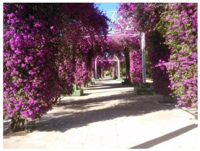 Sevillapark Holiday home *