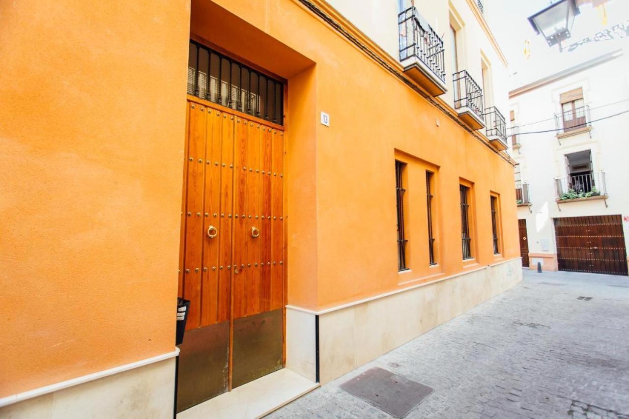 Linin Arenal Seville