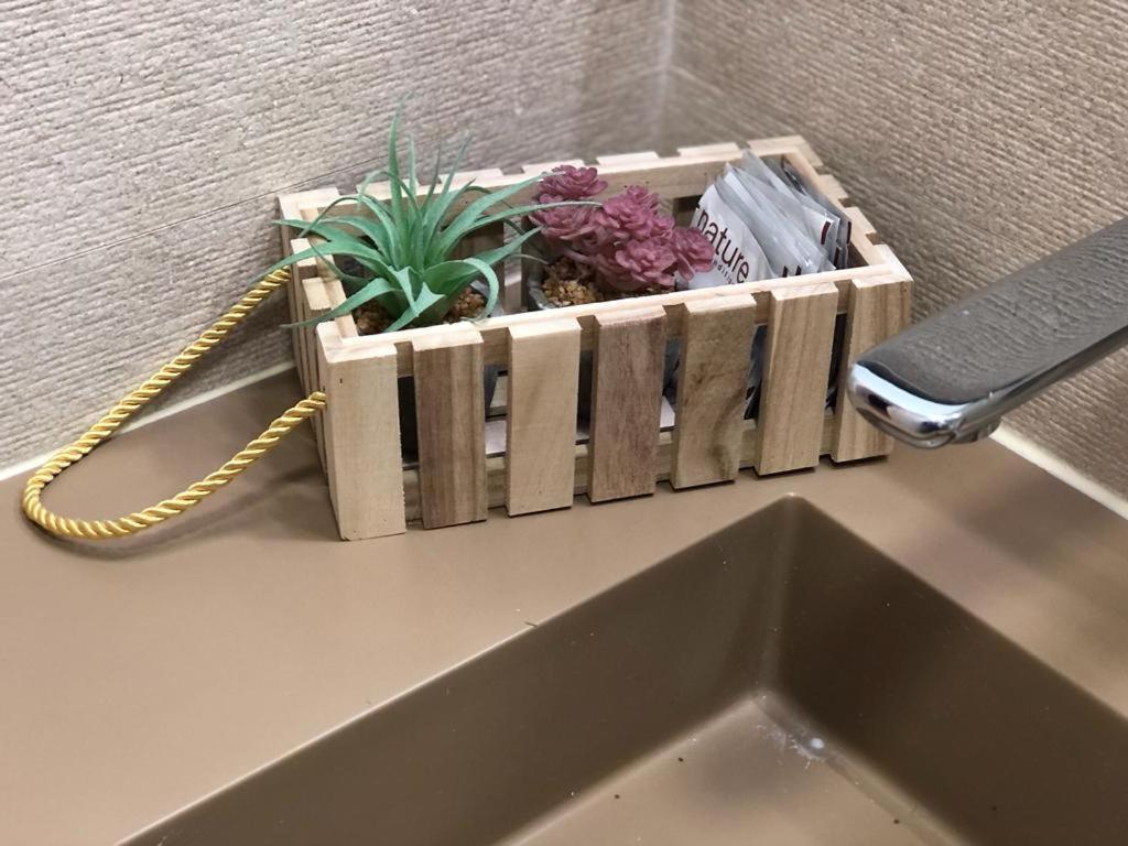 Estudio Centrico En Punonrostro