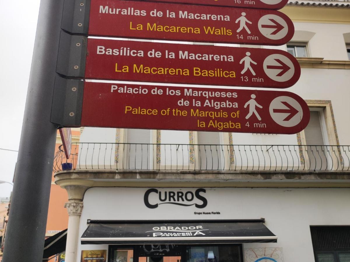 Apartment Estudio Rufina.tranquilidad ,alameda De Hercules!
