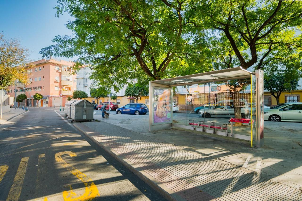 Luminoso Seville