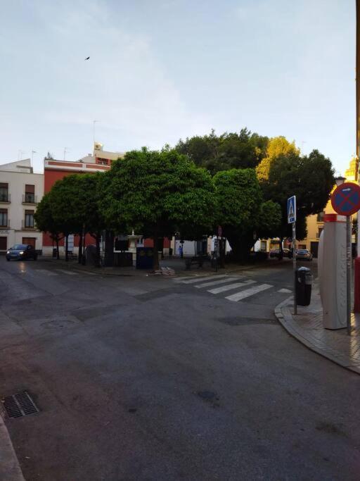 Apartment Hispalis Plaza Cristo De Burgos Seville
