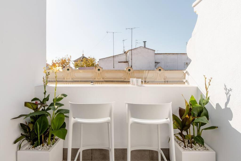 Apartment Atico C/ Adriano_catedral.