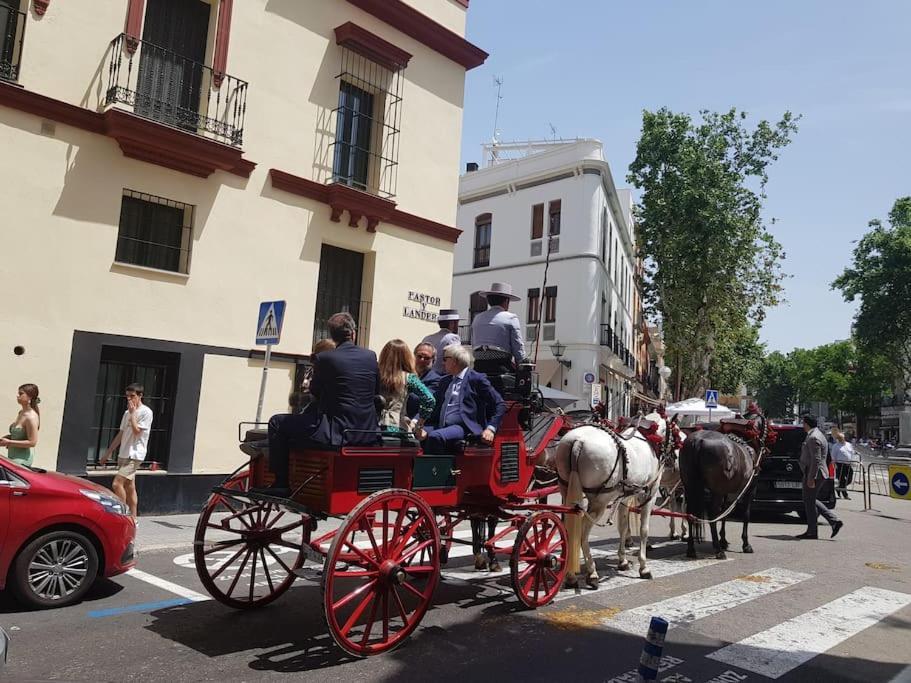 Atico C/ Adriano_catedral. Apartment Seville