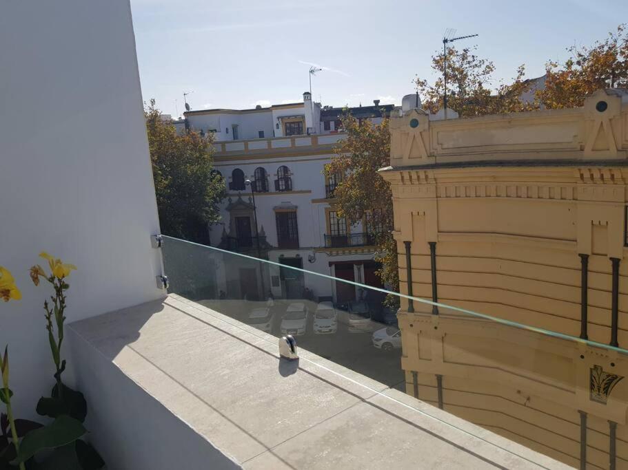Atico C/ Adriano_catedral. Seville