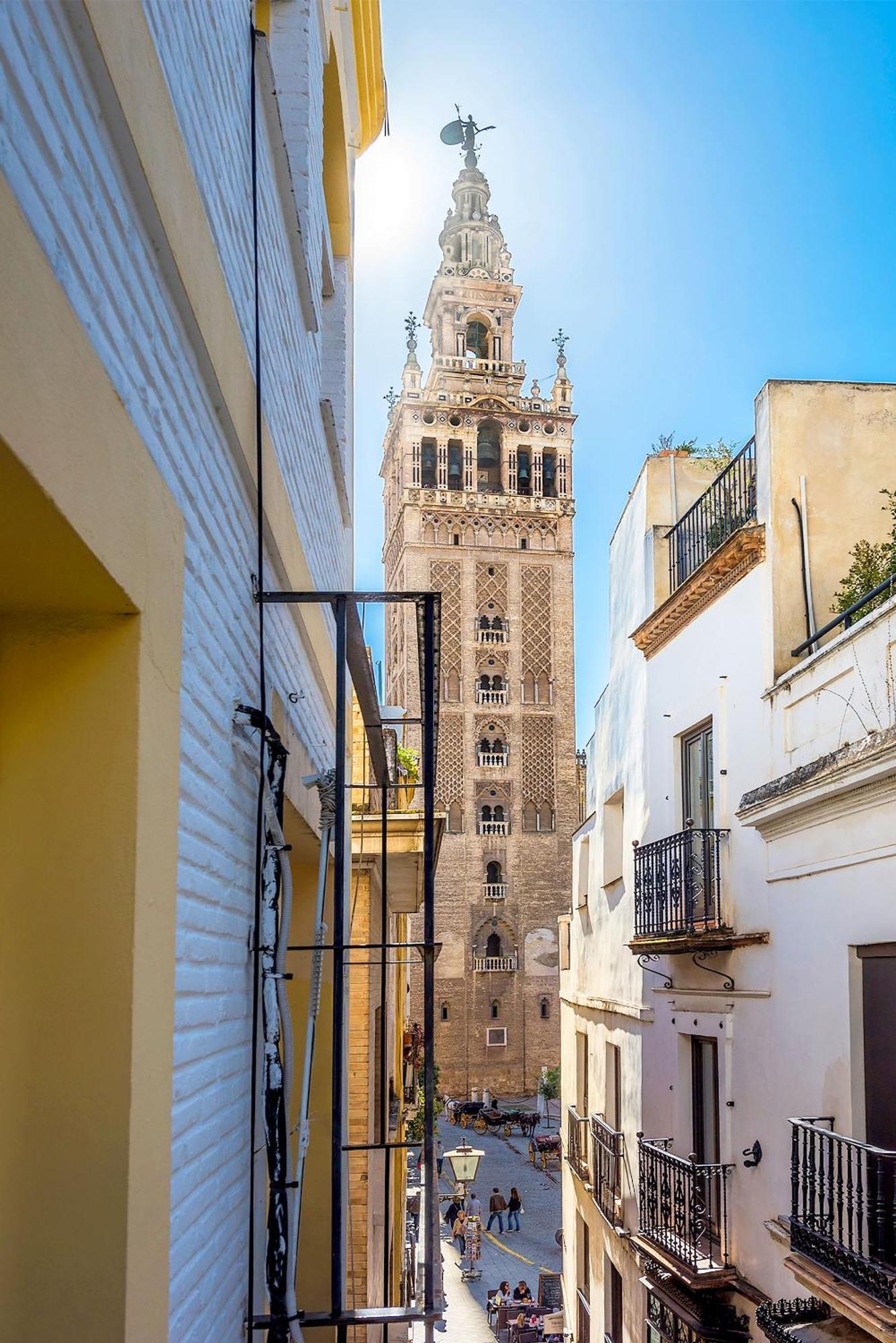 Genteel Giralda *