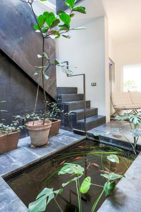 Apartment Elegante Duplex Centro Matahacas 1 Seville