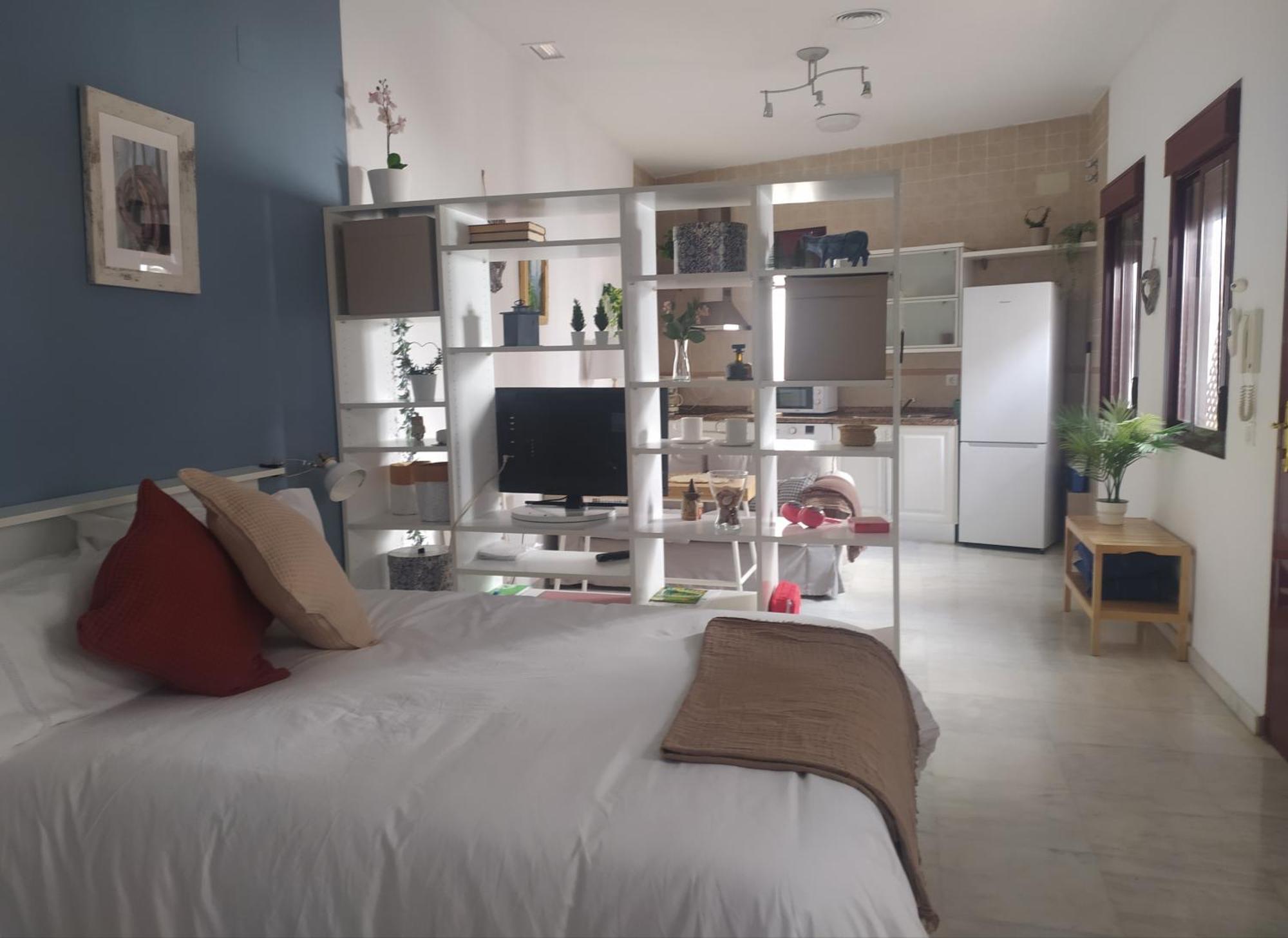 Estudio Centrico Seville