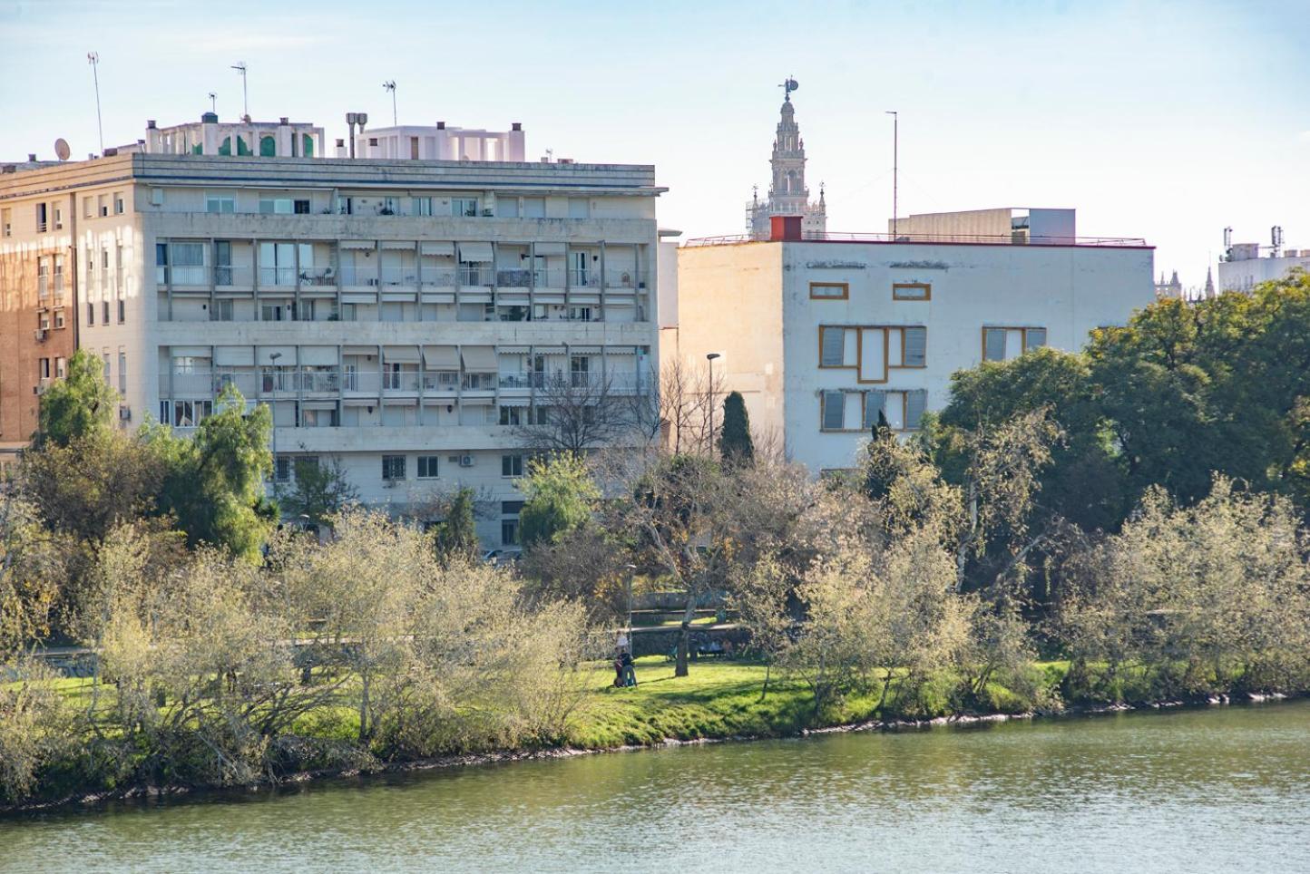 Alohamundi Castilla V-vi * Seville