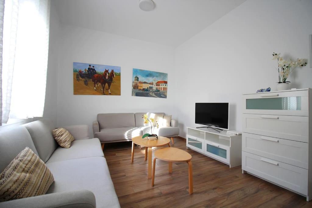 Apartment Centro - Carrion Mejias Seville