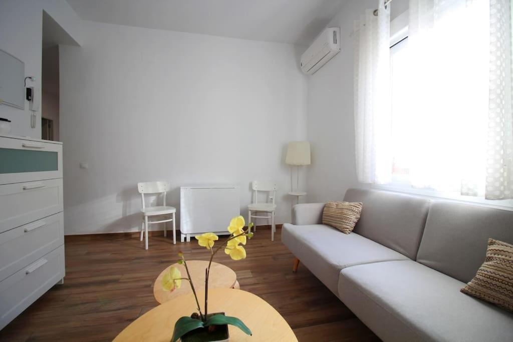 Apartment Centro - Carrion Mejias *