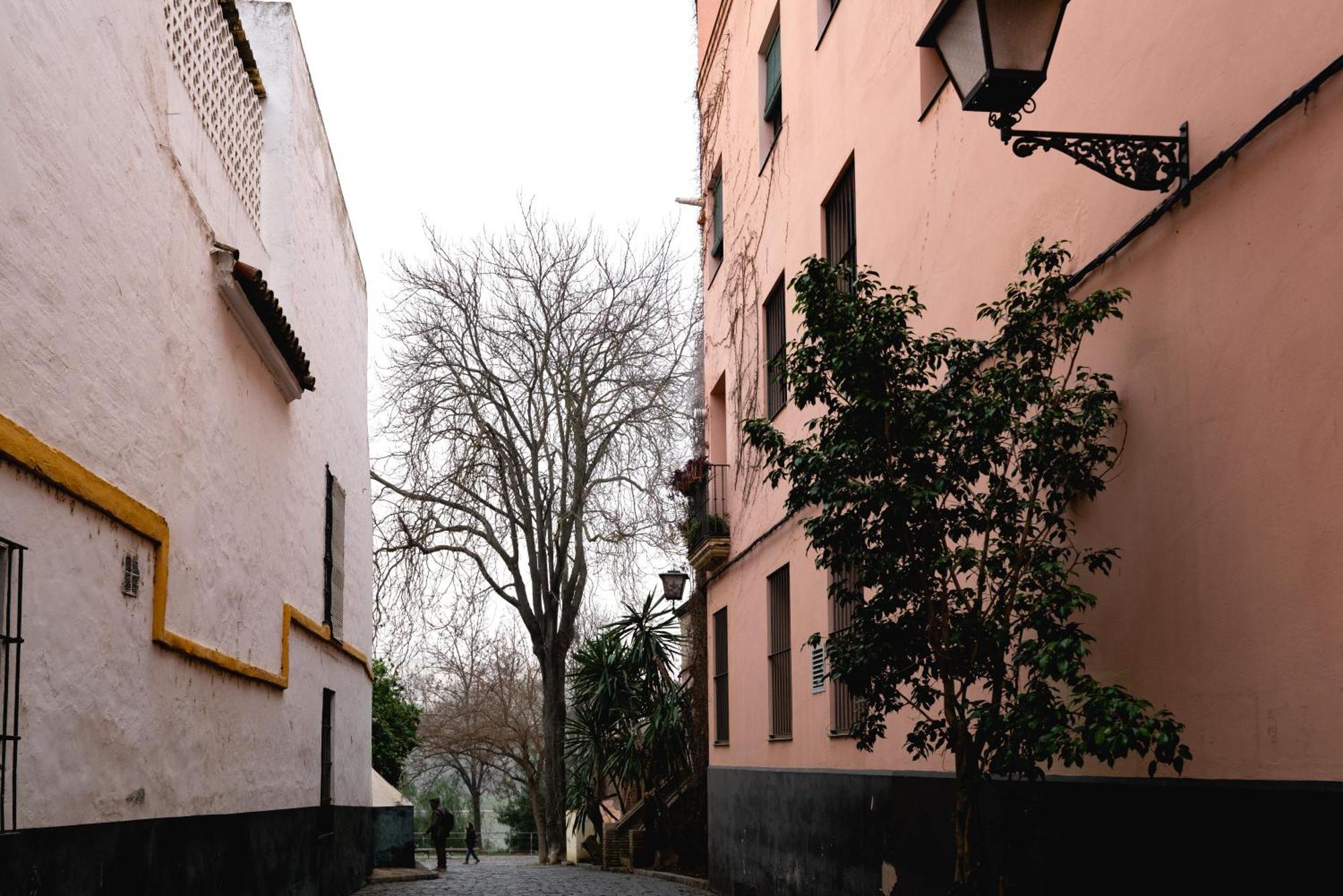 Castilla 61 Apartment *