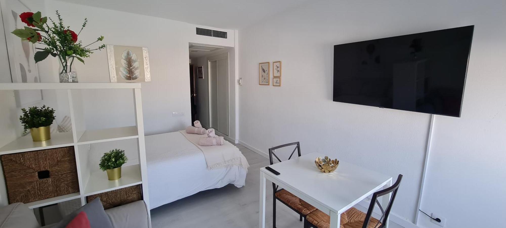 Loft Triana Seville