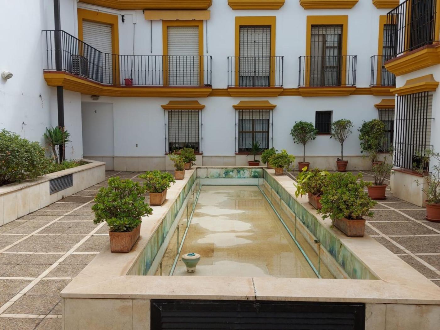 Azahar Alfonso Xii Seville