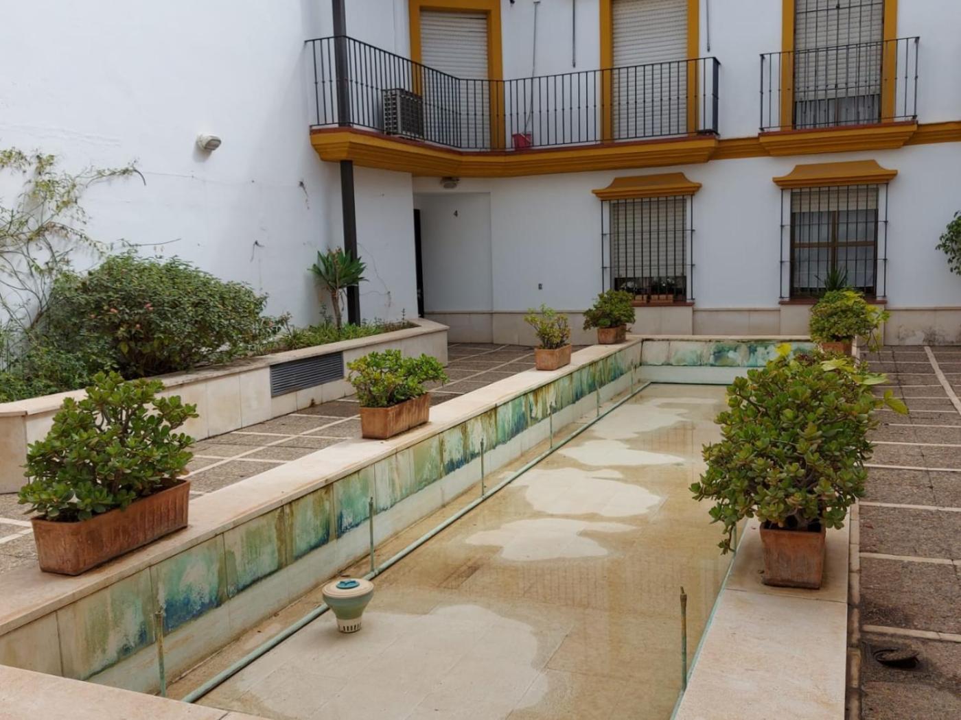 Apartment Azahar Alfonso Xii
