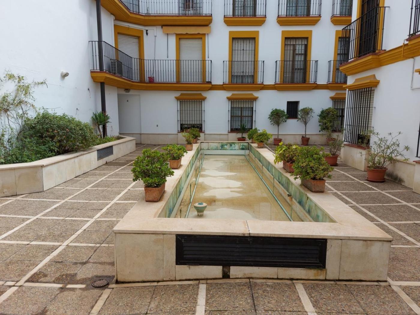 Azahar Alfonso Xii Seville