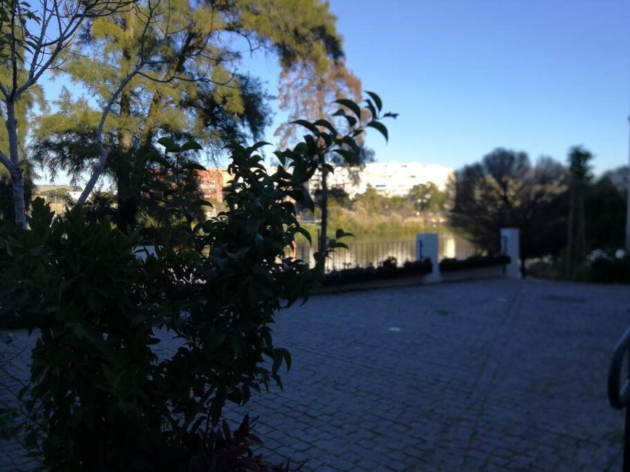 Disfruta Desde Triana Junto Al Rio Apartment Seville