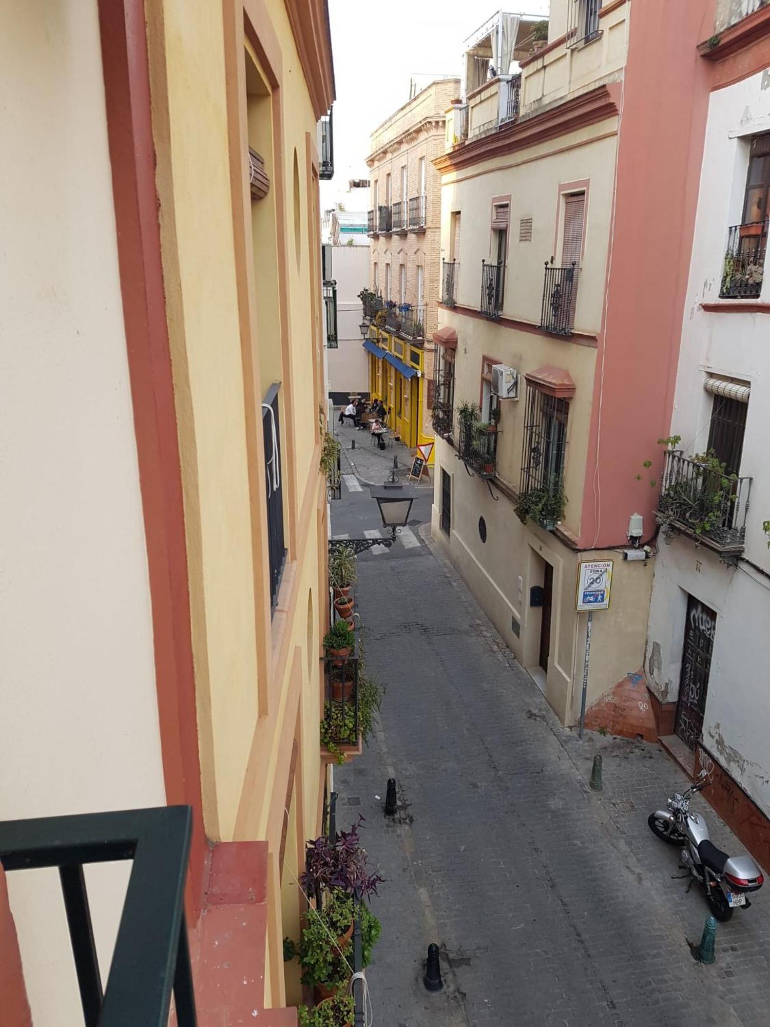 Marco Sancho Centro-alameda-setas * Seville