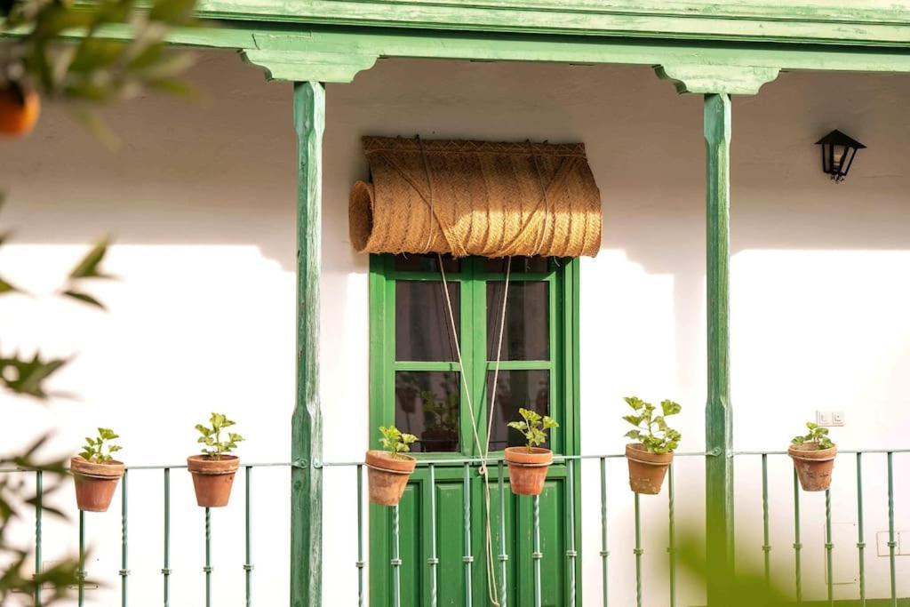 Apartment A Estrenar En Calle Alcazares