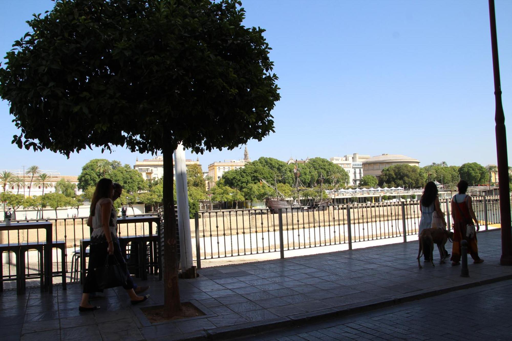 Luisahouse, En El Corazon De Y Triana *