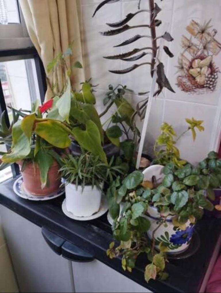 Privadas Con Cama Doble En Habitación en casa particular Sevilla