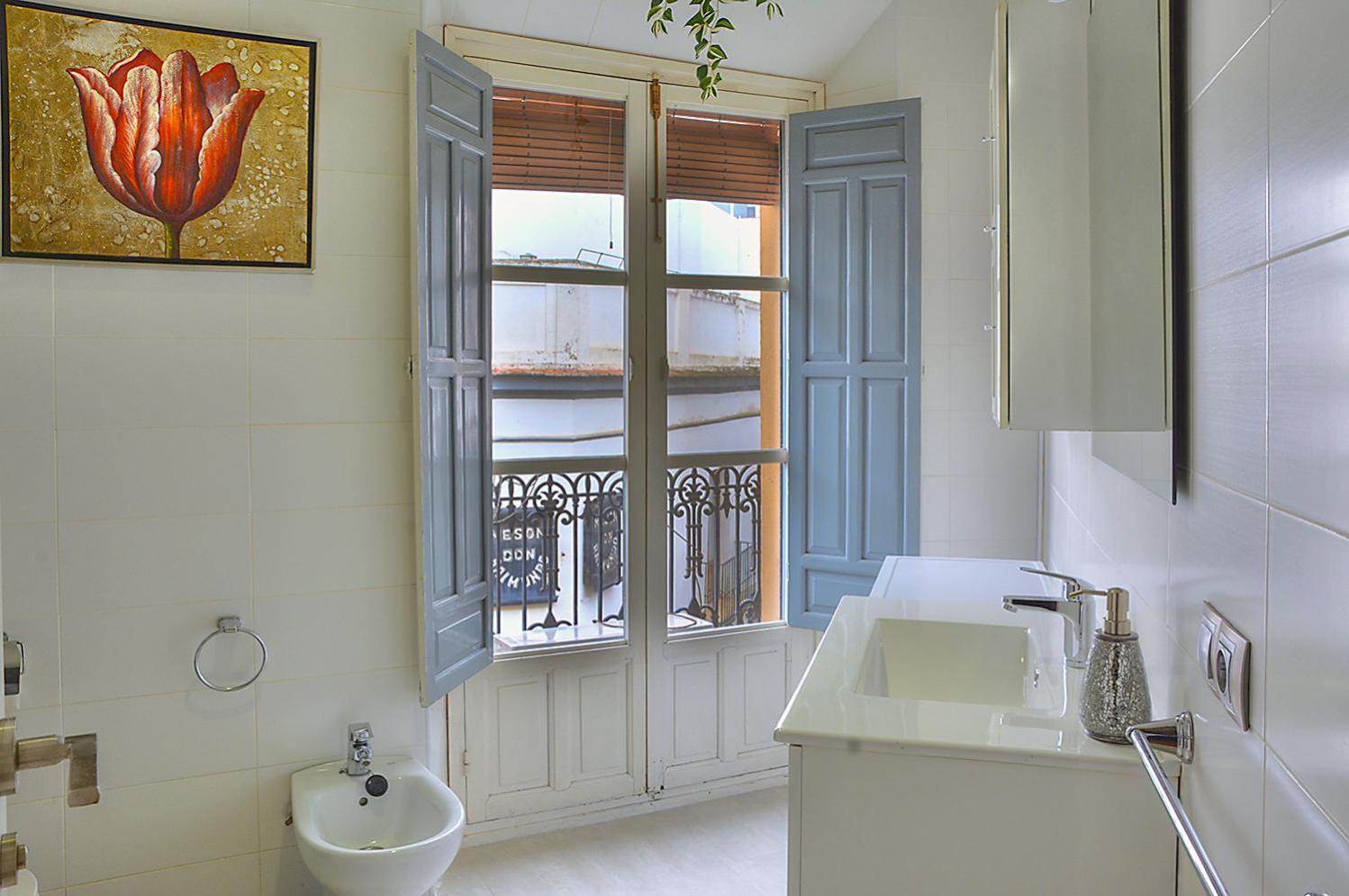 Apartment Piso Deluxe Argote Seville