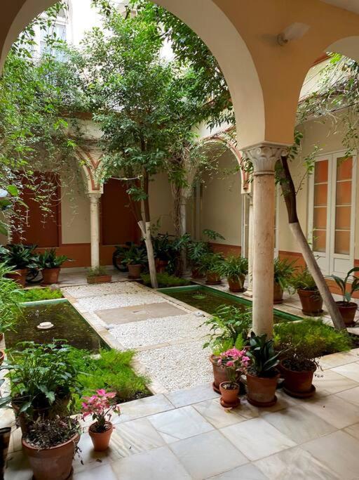Carlos Canal Deluxe By Valcambre * Sevilla