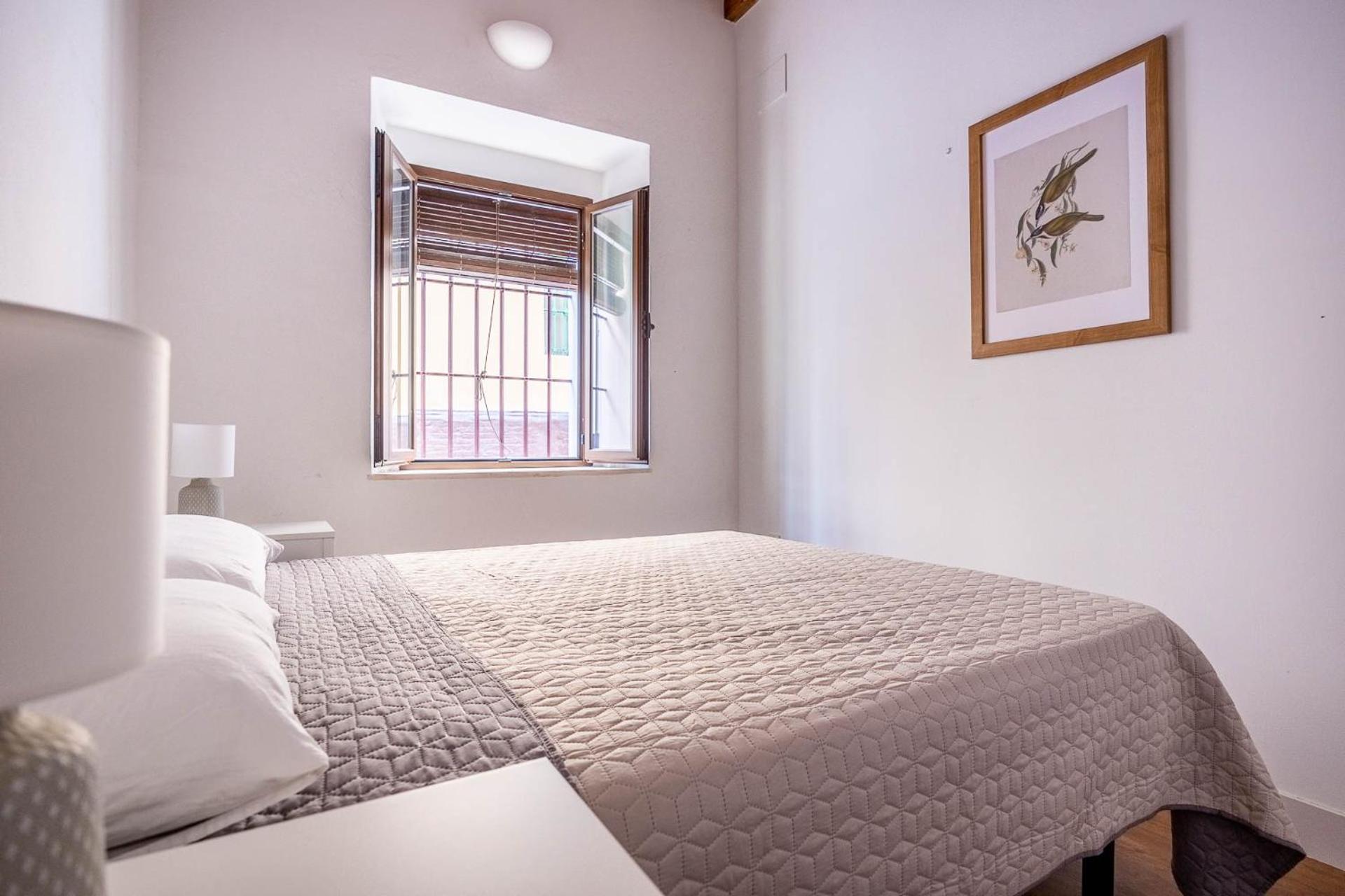 Beautiful Ground Floor Duplex In The Heart Of * Seville