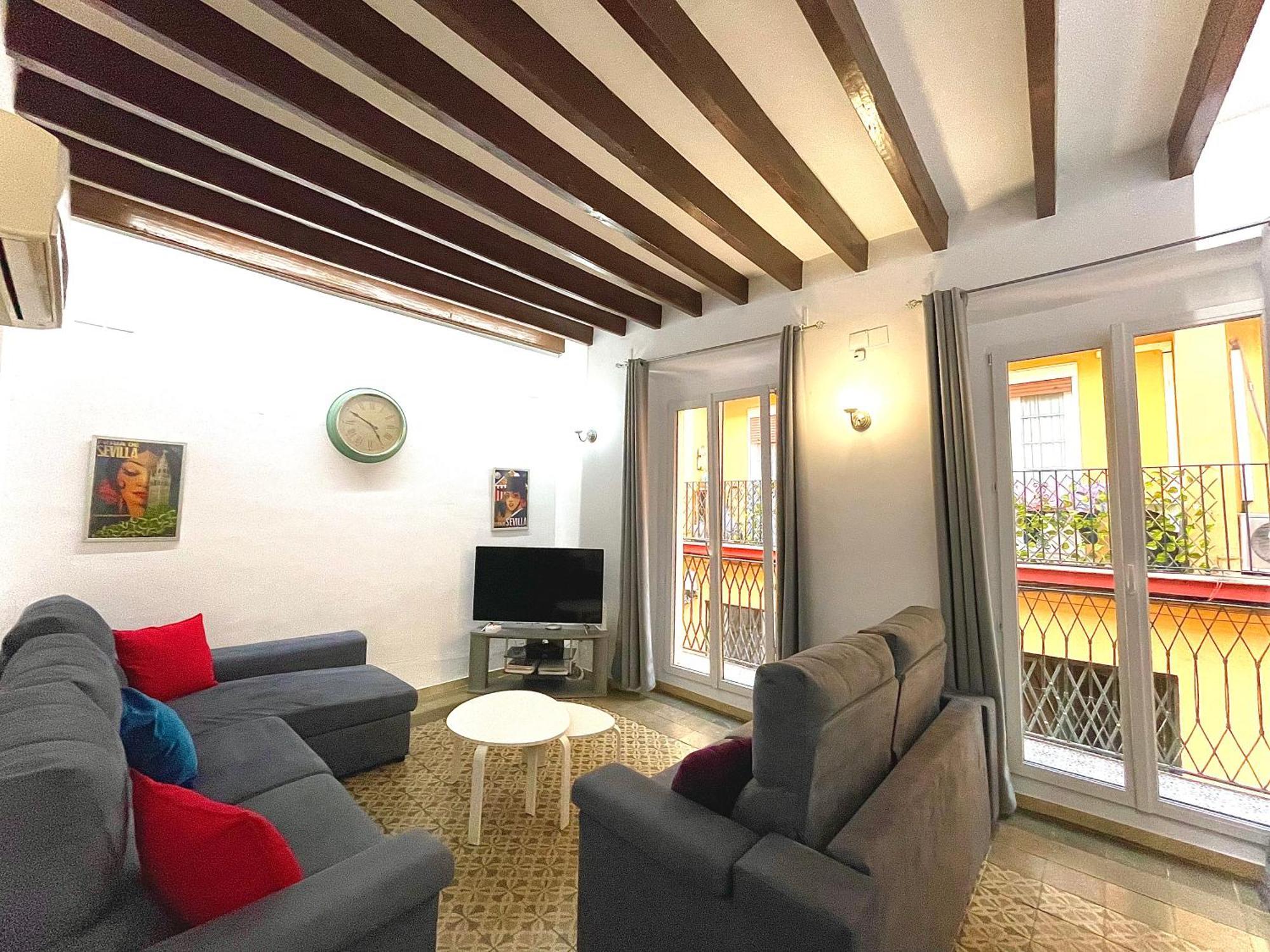 House -rooftop&jacuzzi -stayinseville Seville