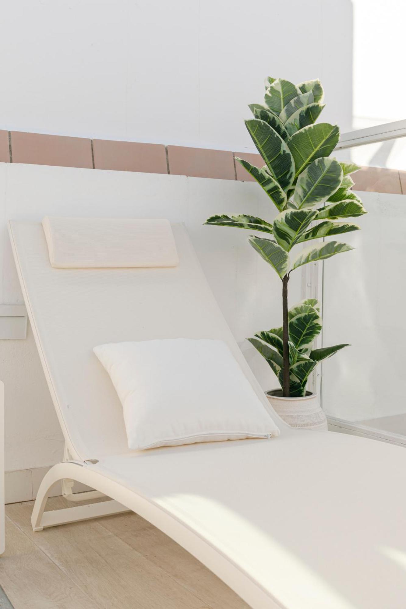 Apartment Isg Faustino 45